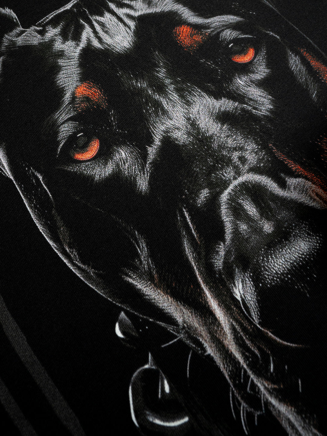 Dobermann Hoodie Black - Aneyone UG
