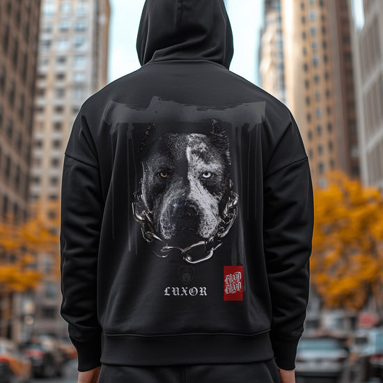 Dog Aquiles Luxor Hoodie Black