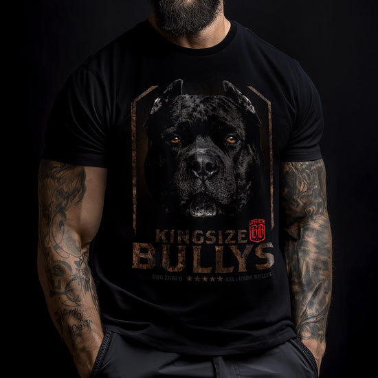 Luxor Zorro T-Shirt Black - Aneyone UG