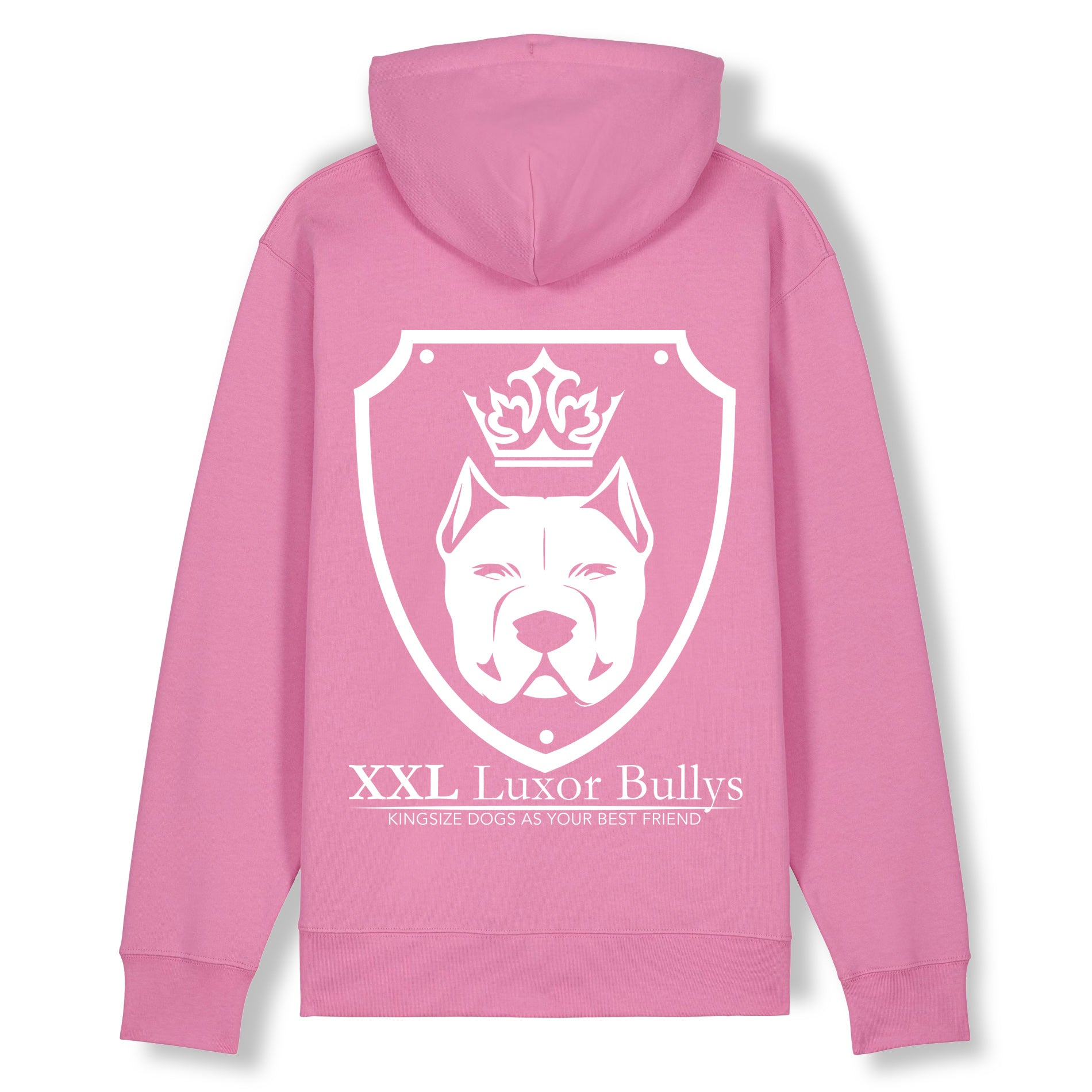 Luxor Pink Hoodie Logo in White - Aneyone UG