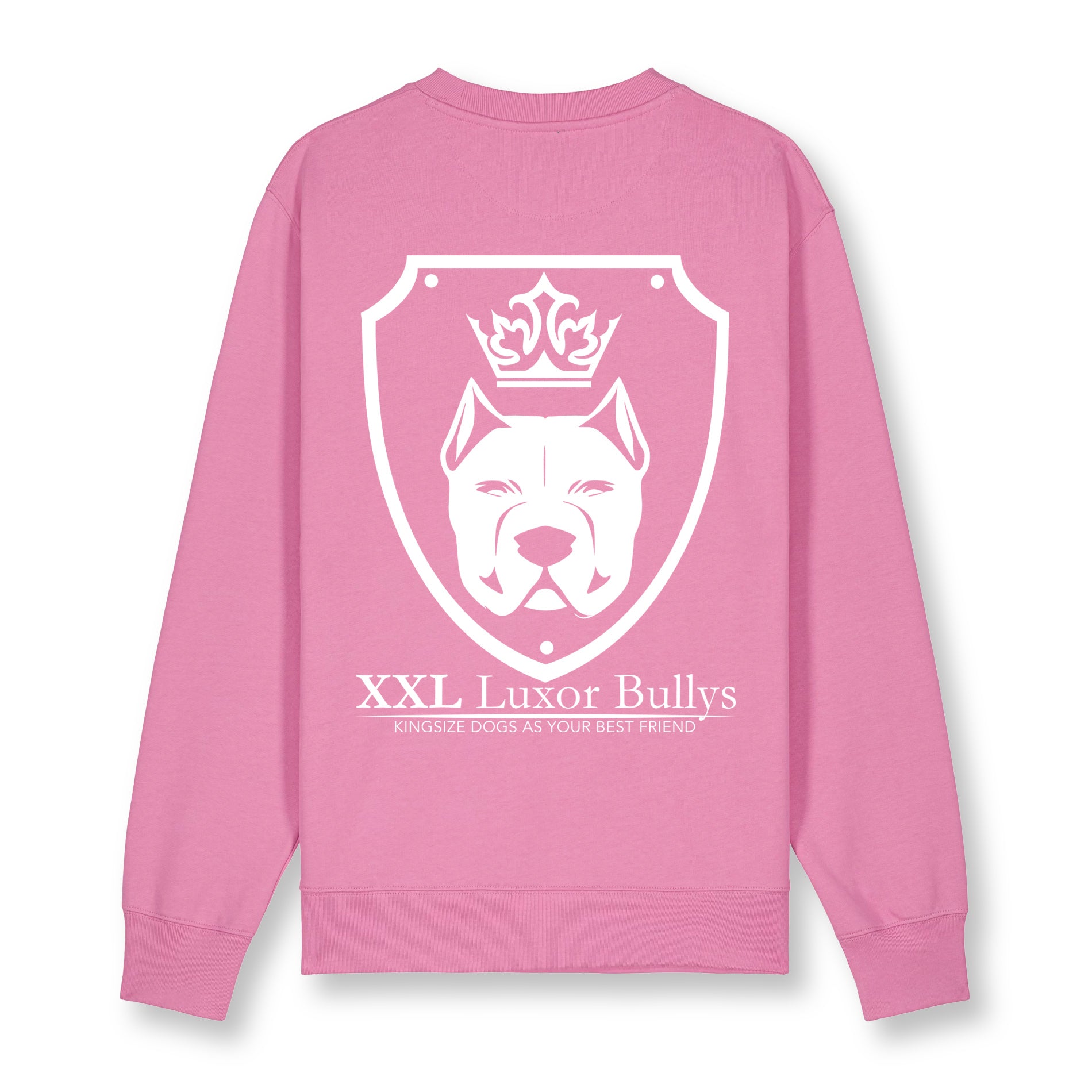 Luxor Pink Sweatshirt Logo in White - Aneyone UG